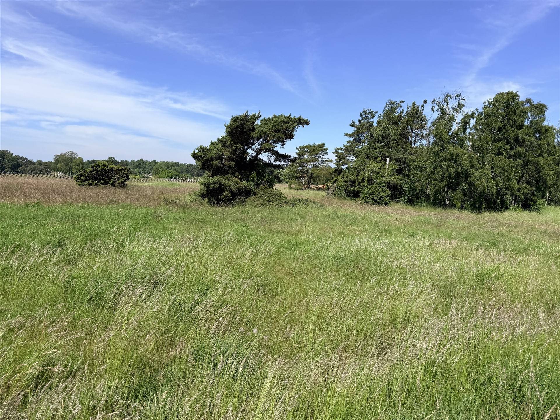 Tomt på Fårö Sudergarda 1620 A Fårö Gotlands kommun - bild 10
