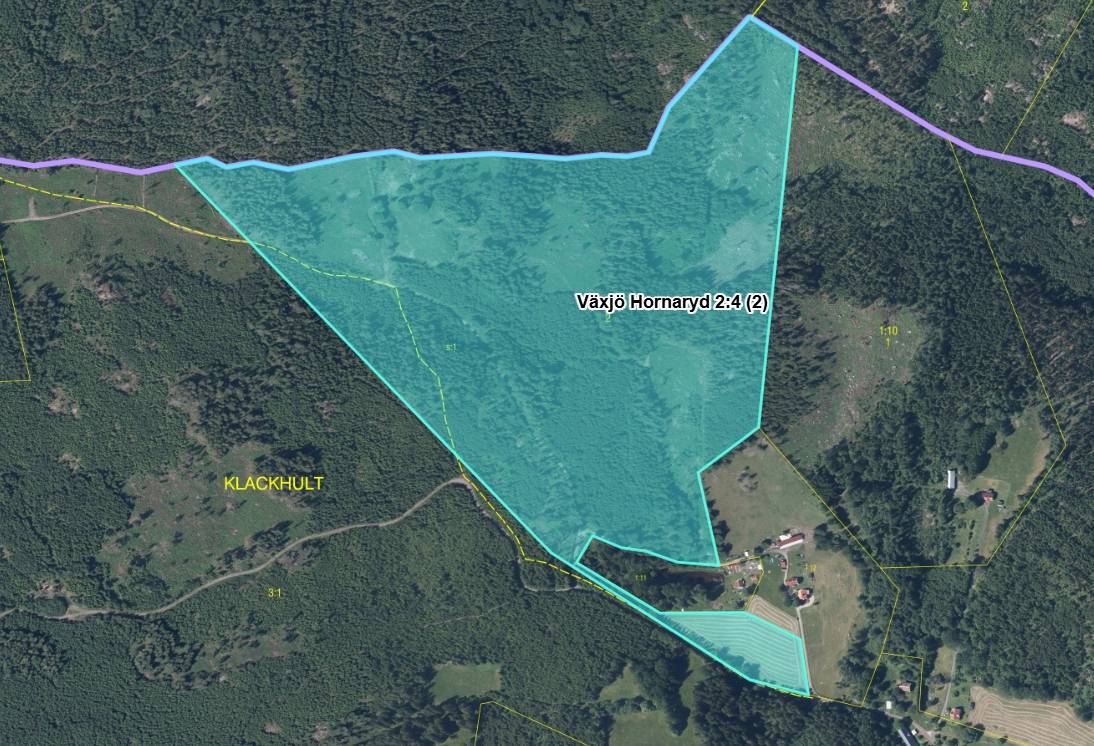 Gård/skog på Del av Hornaryd Hörnegård 2 Braås Växjö kommun - bild 2