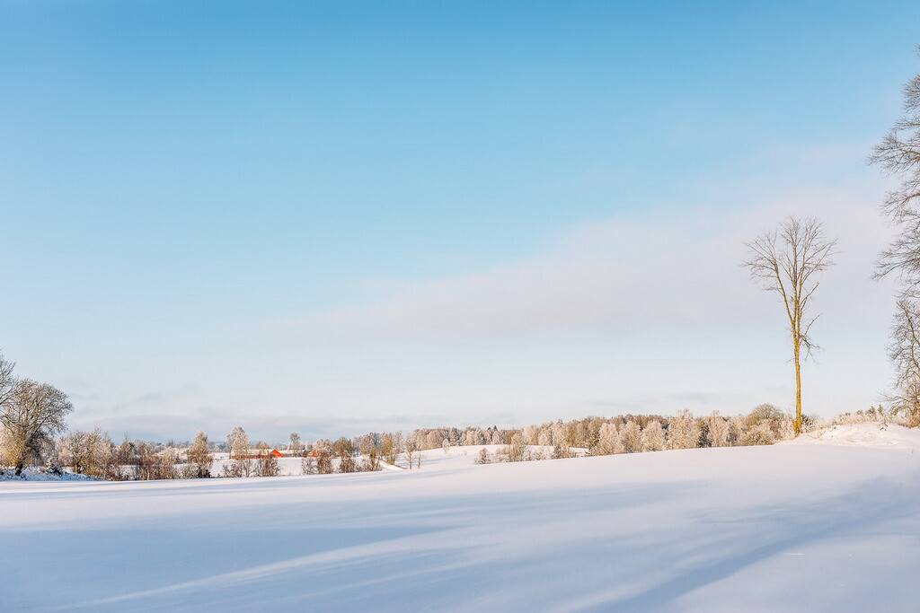 6 rum Villa på Bosgården 2 Öja Falköpings kommun - bild 35