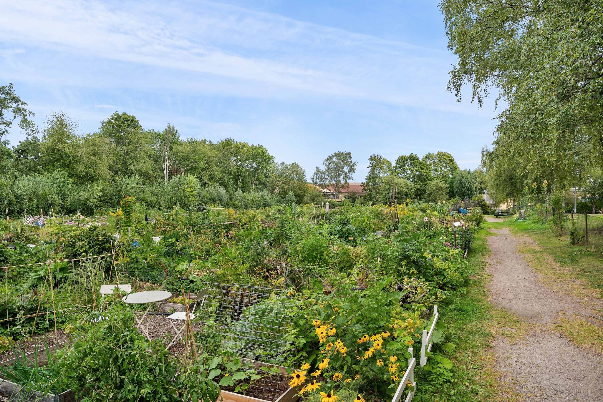 2 rum Lägenhet på Höganäsgatan 8B Höganäs Uppsala kommun - bild 28