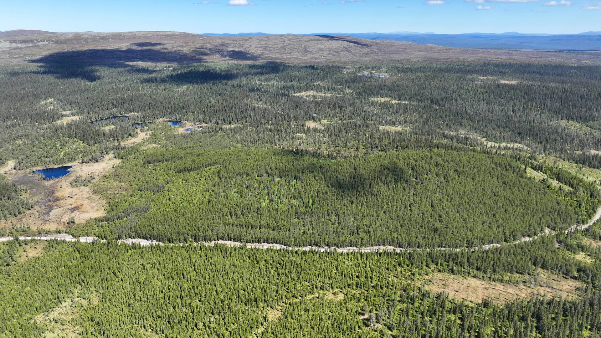 Gård med skogsbruk på Grövelsjön Grövelsjön Älvdalens kommun - bild 17