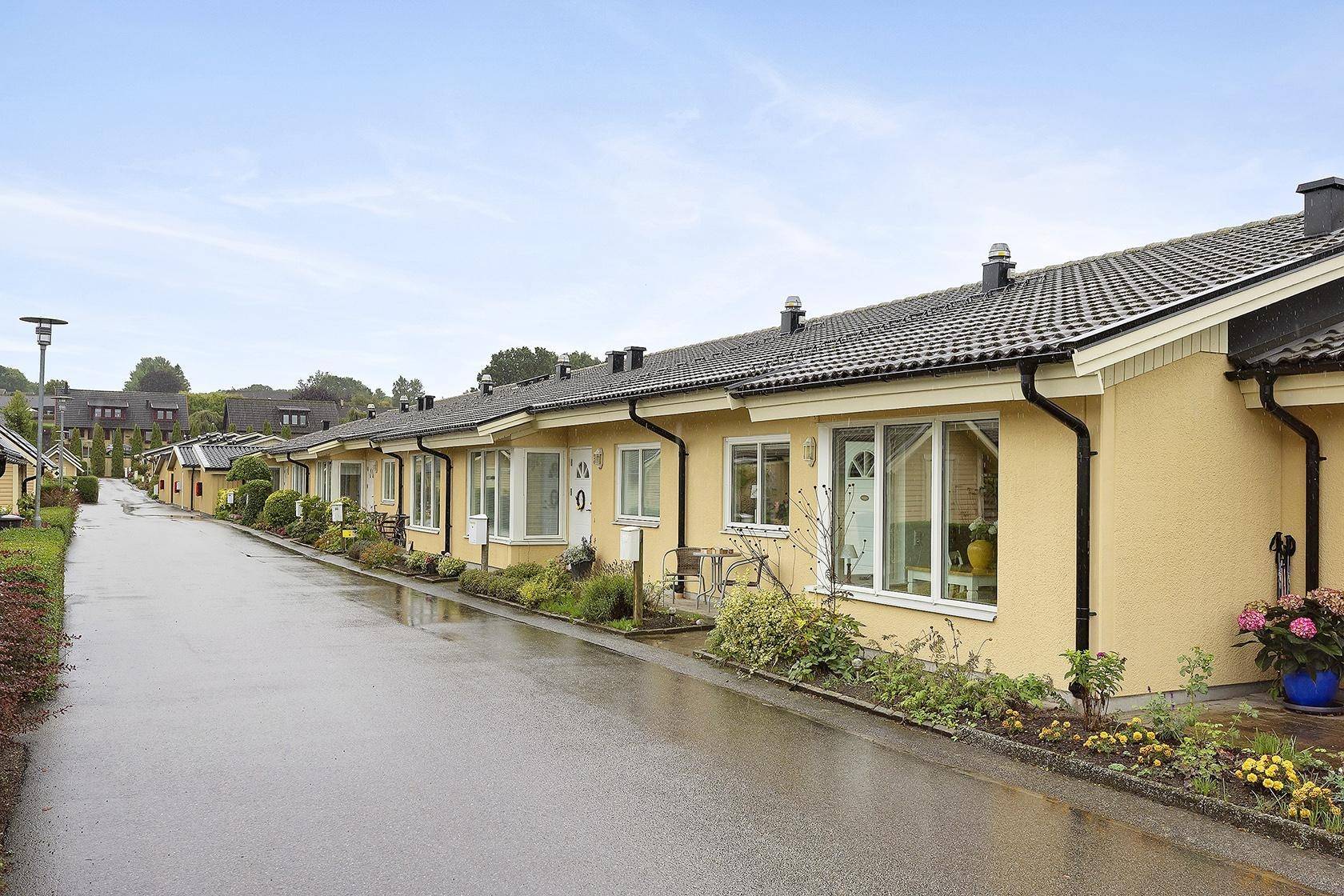 Hörby, Hörby kommun