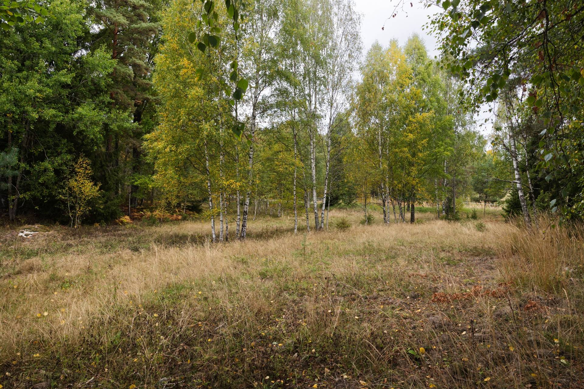 5 rum Gård/skog på Mellringe gård 1 Läggesta/Hedlandet Mariefred Strängnäs kommun - bild 67