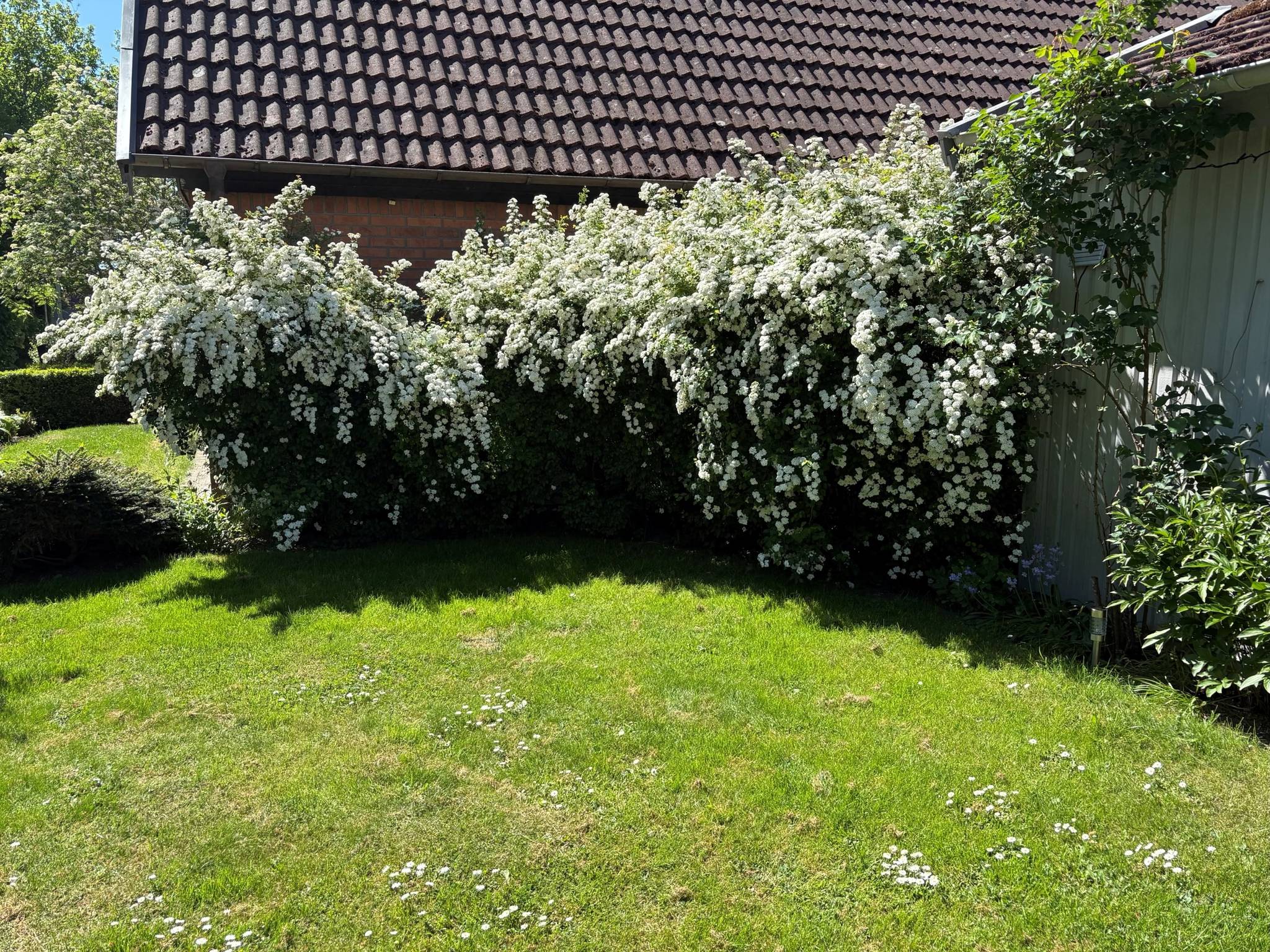5 rum Villa på VALLMOGATAN 19 Roslätt 2 Svedala kommun - bild 47