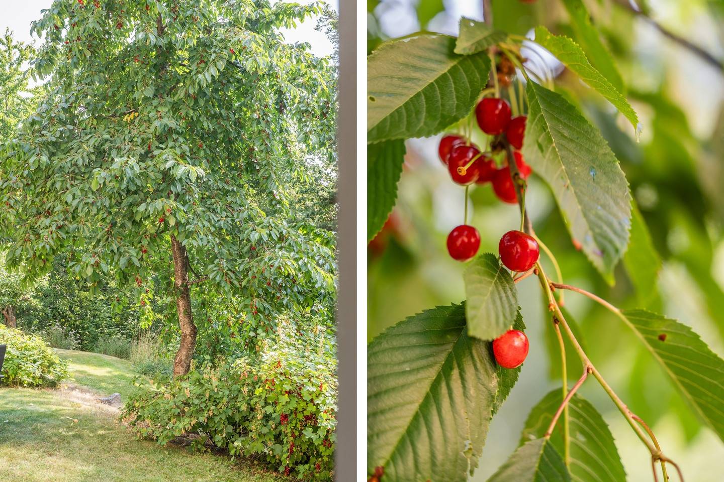 8 rum Villa på Olov Trätäljagatan 31 Villan Säffle kommun - bild 13