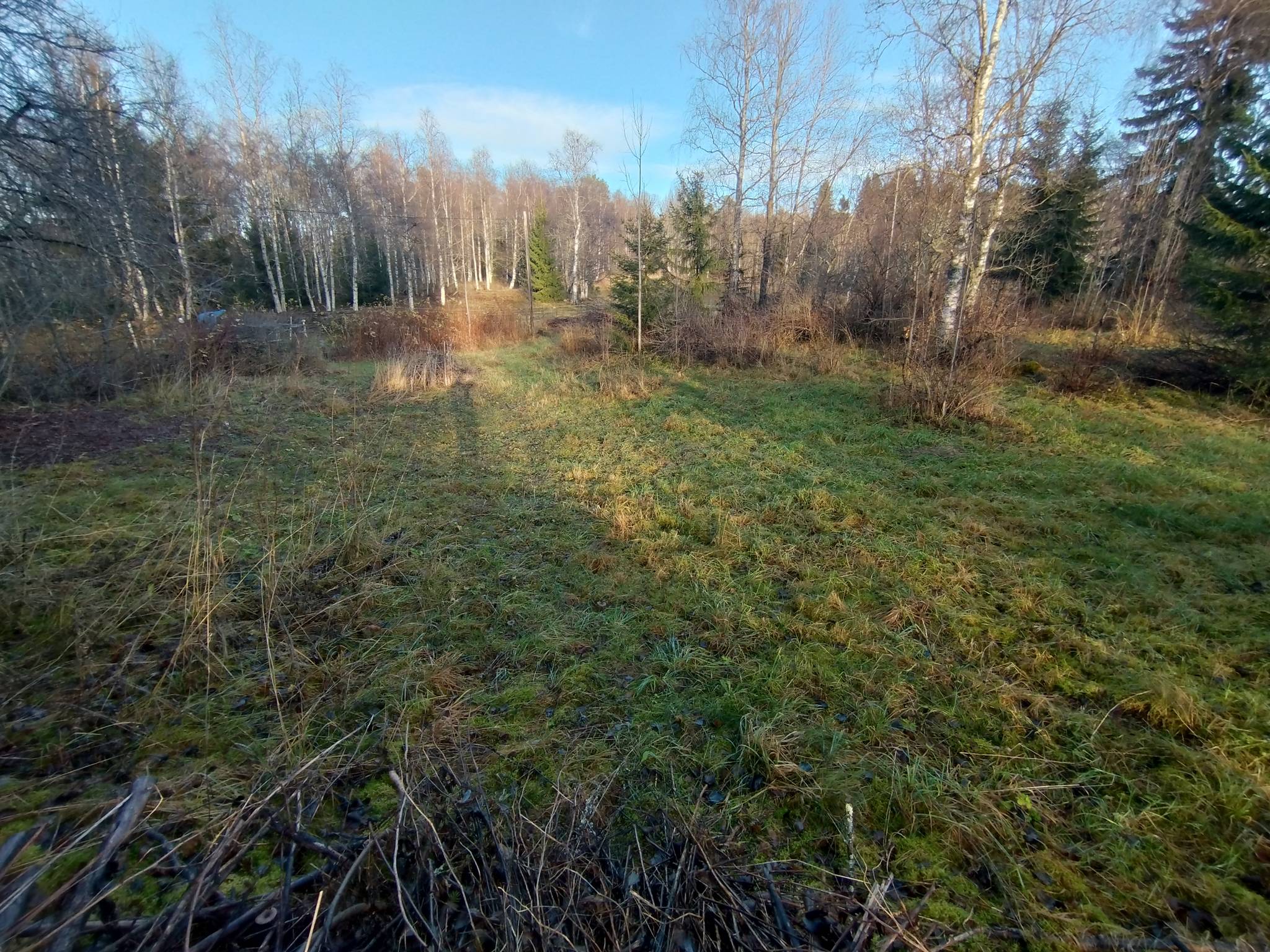 Tomt på Håkansta 157 Grytan Östersunds kommun - bild 9