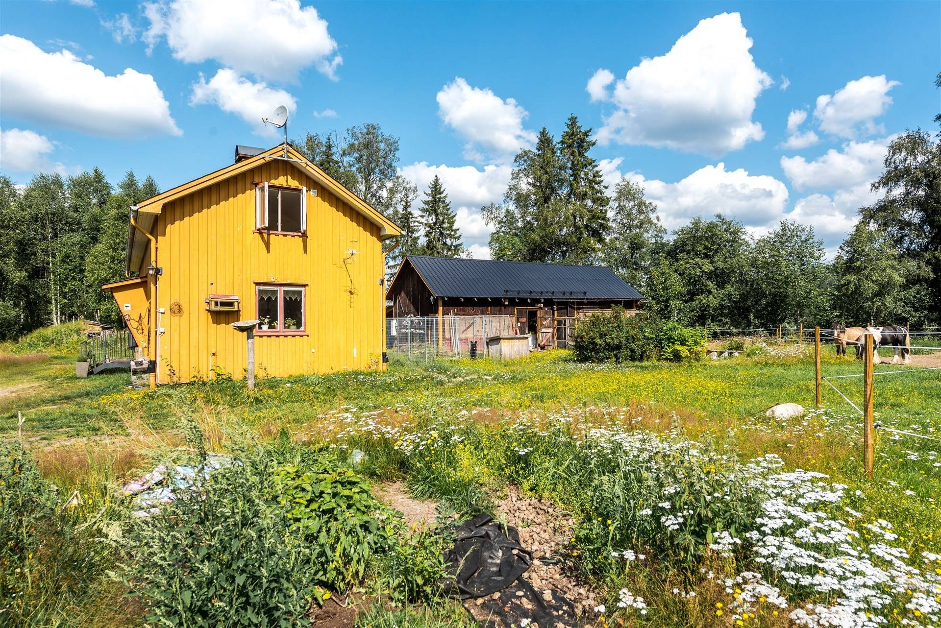3 rum Villa på Mjönäs 2 Torsby kommun - bild 35
