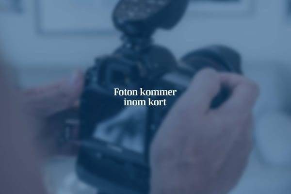 Lund, Lunds kommun