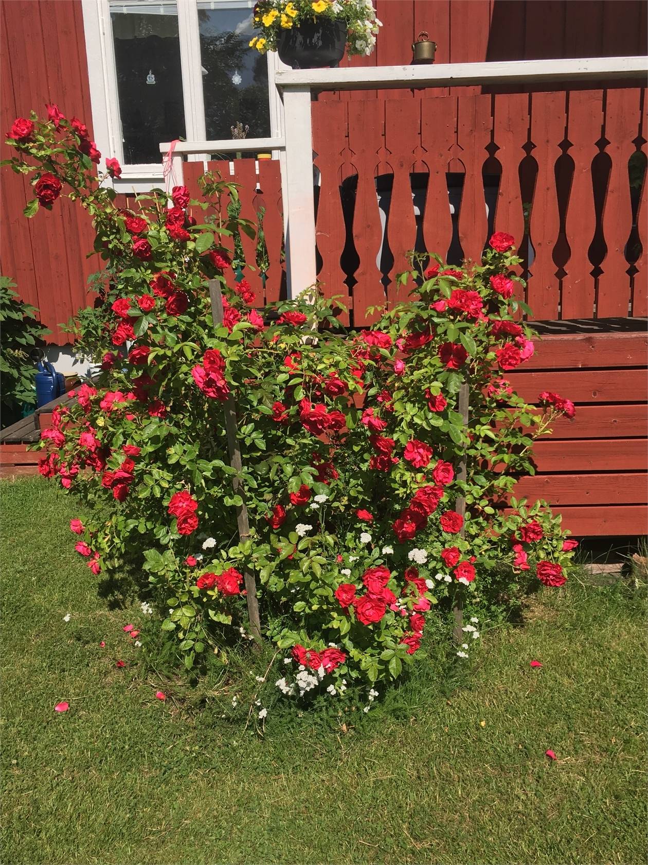 3 rum Villa på Iskällarkullen 1 Lindesbergs kommun - bild 43