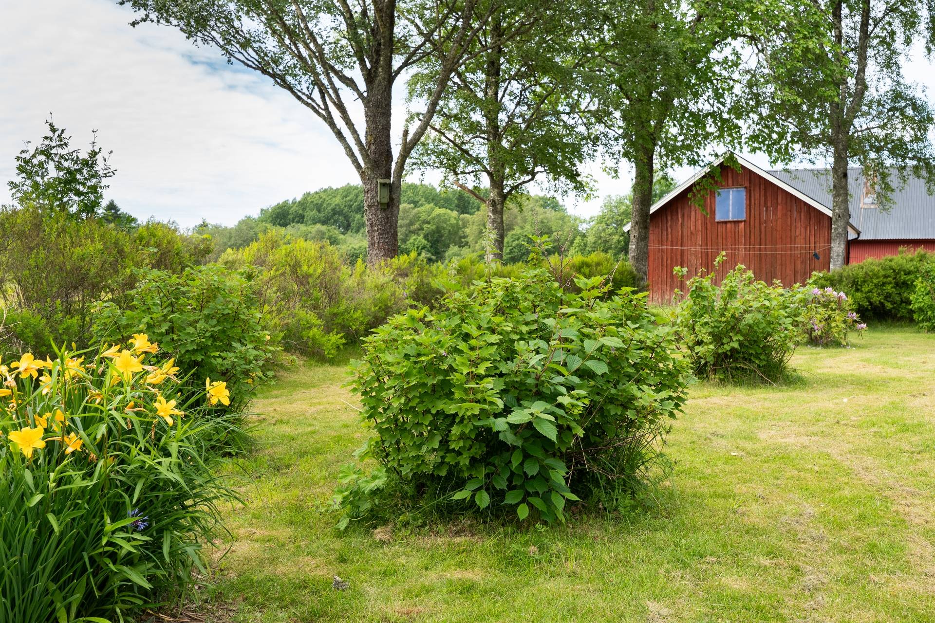 3 rum Villa på Gesäters stom Prästgården 1 Ed Dals-Eds kommun - bild 7