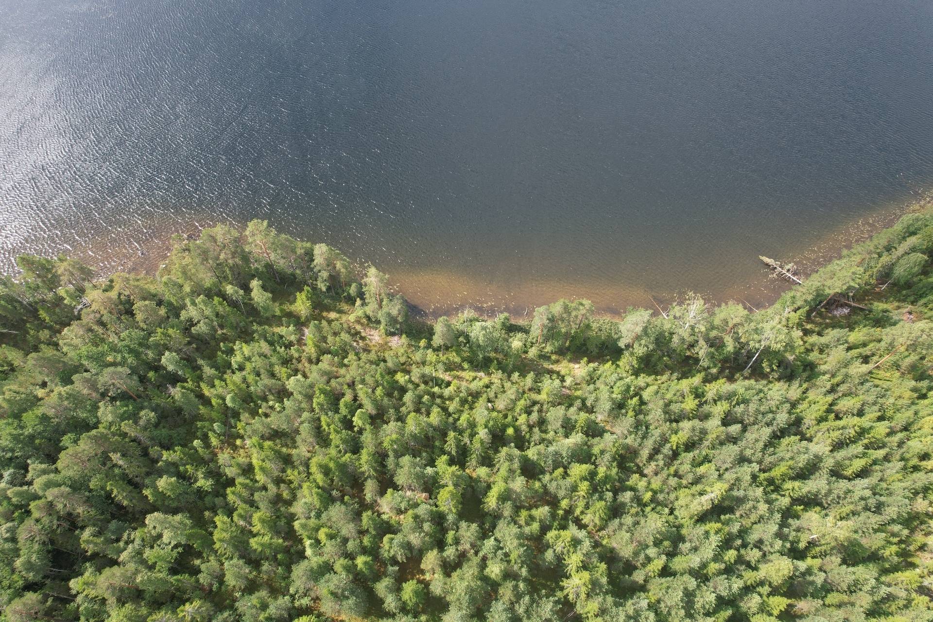 Gård med skogsbruk på Bispbergshyttan & Bosjön Säters kommun - bild 24