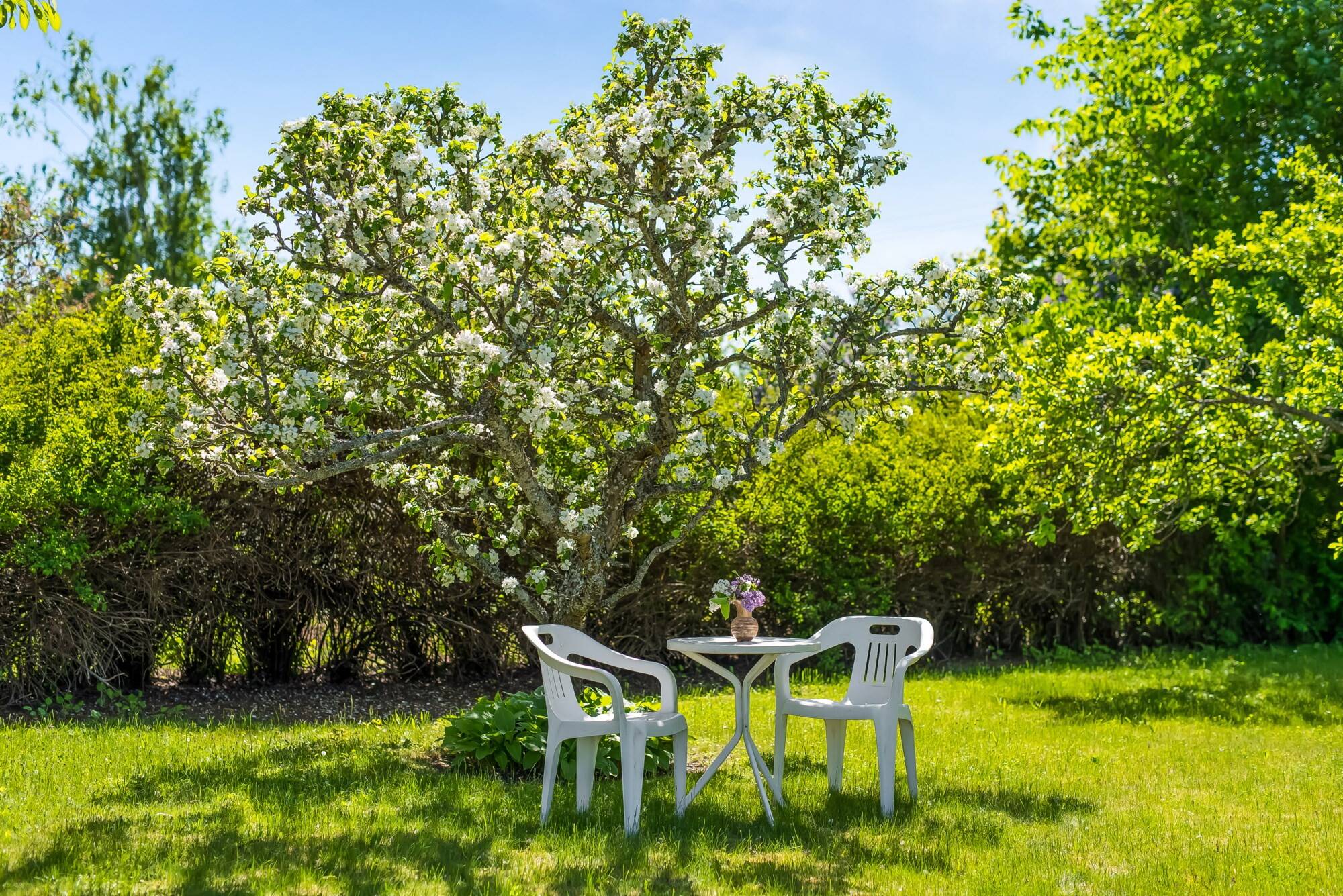 8 rum Villa på Sundsgatan 18 Fågelstad Motala kommun - bild 36
