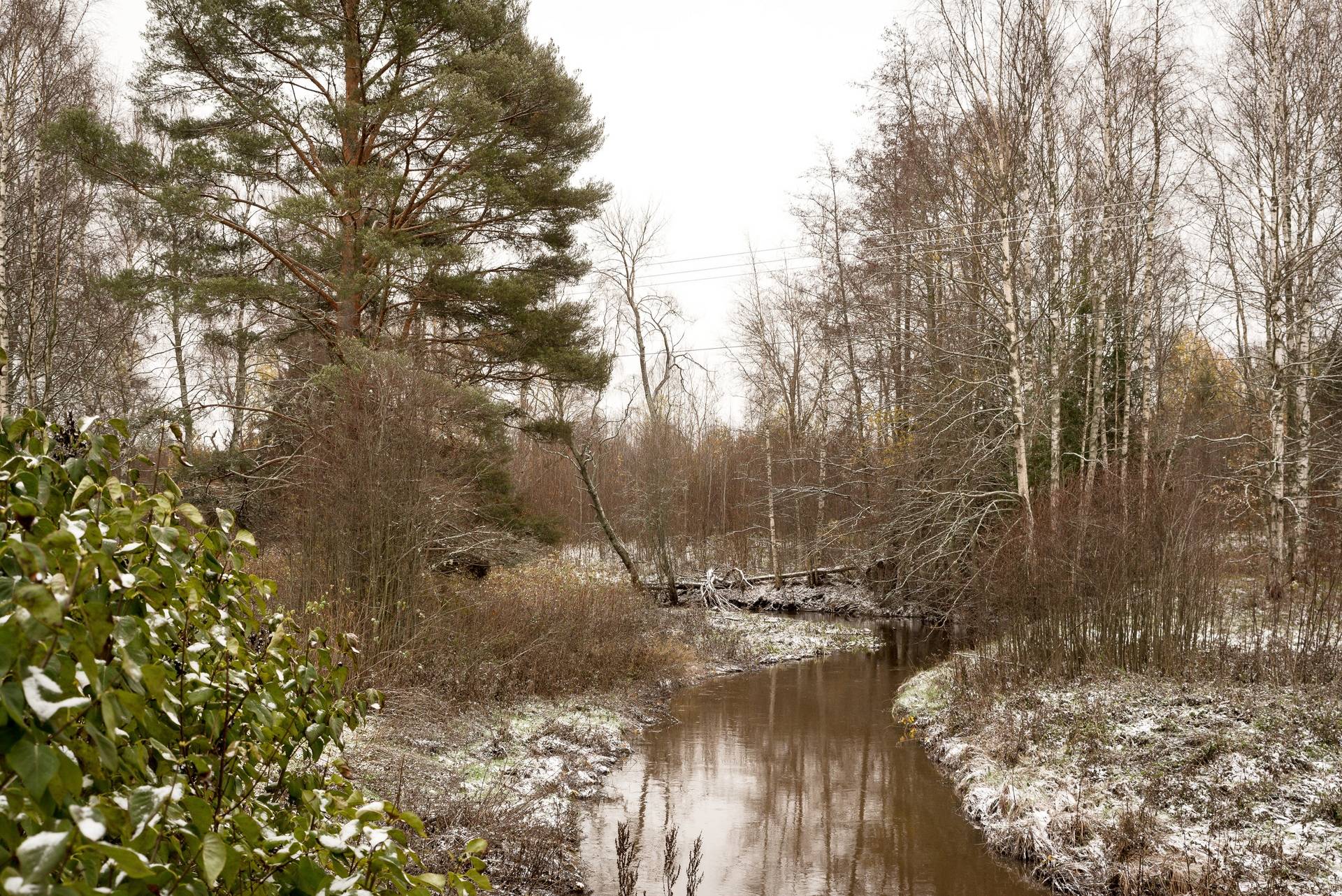 3 rum Villa på Nyhamravägen 6 Hamrarna Heby kommun - bild 23