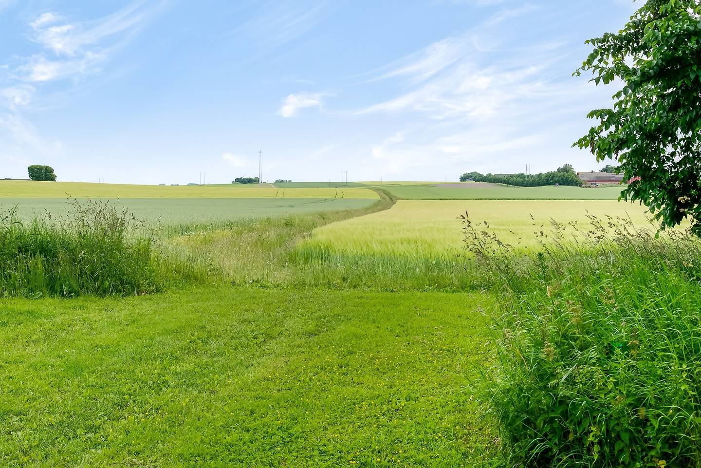 5 rum Gård/skog på Munkagårda 2431 Svalöv Svalövs kommun - bild 45