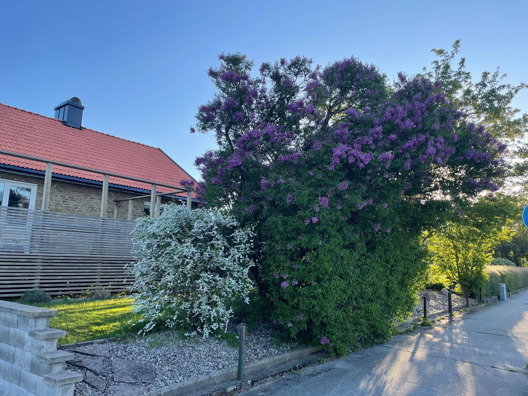 5 rum Villa på Vinkelgatan 3 Löberöd Eslövs kommun - bild 31