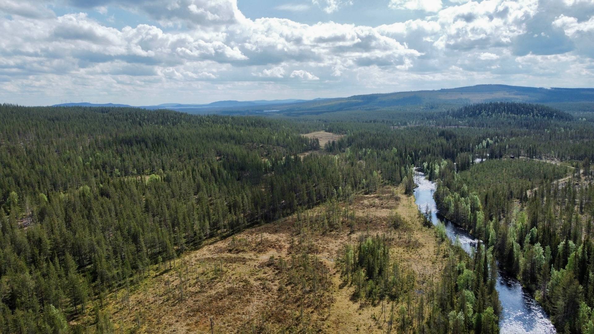 Gård med skogsbruk på Skog kring Tjärnberg Malå kommun - bild 5