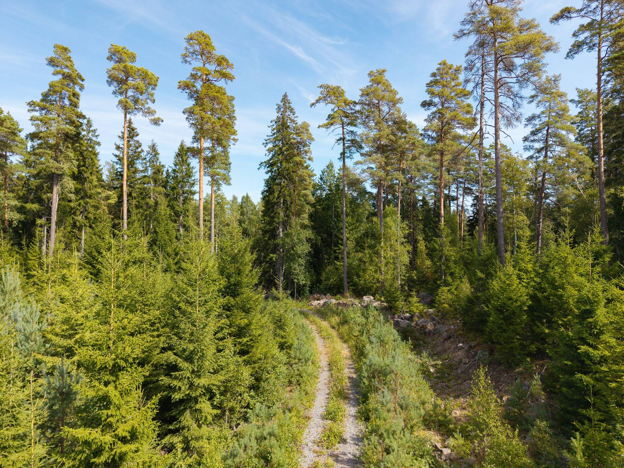 Gård med skogsbruk på Isåsen Askersunds kommun - bild 18