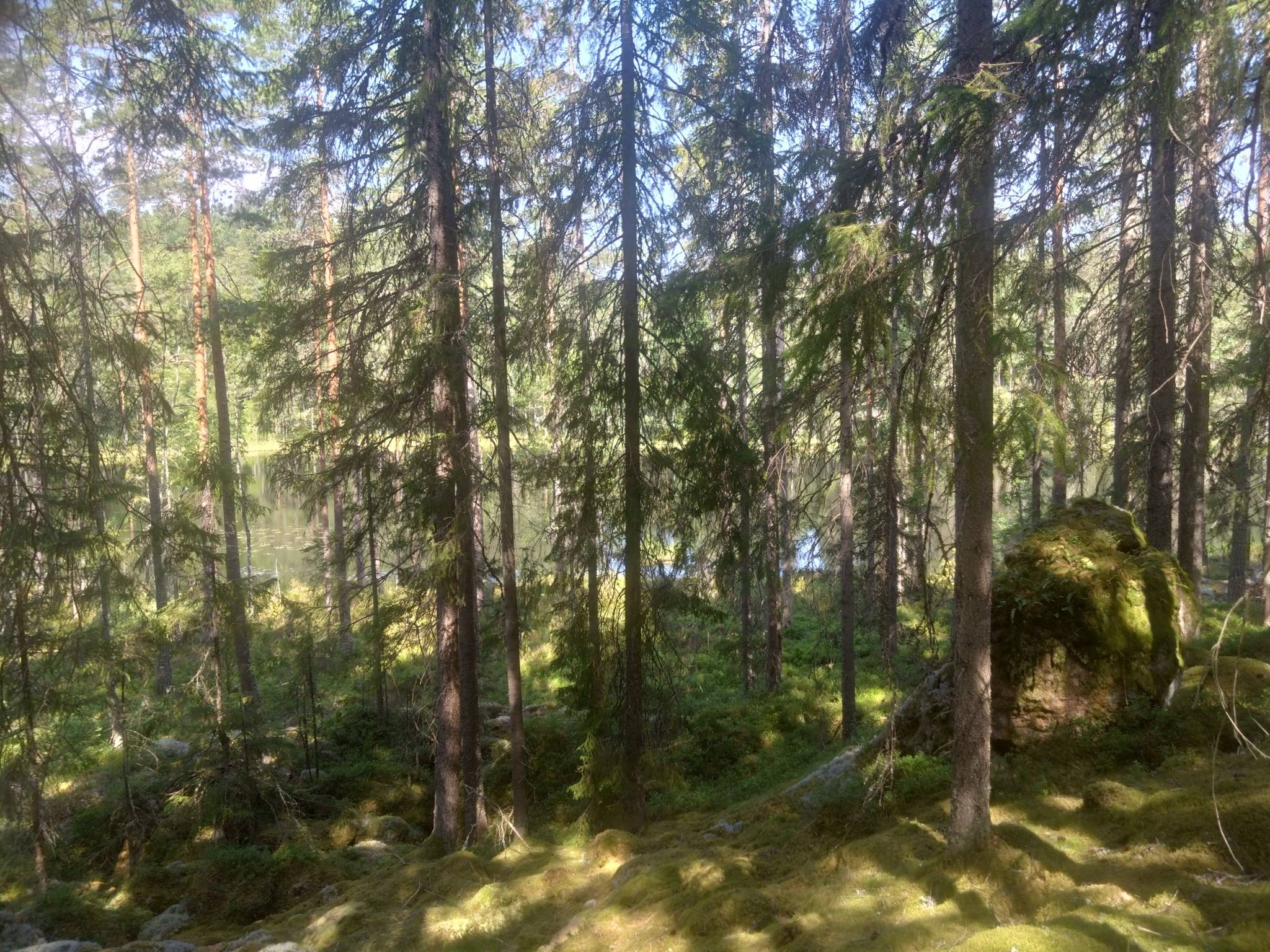 Gård/skog på Hyttskogen Resta Lindesbergs kommun - bild 10