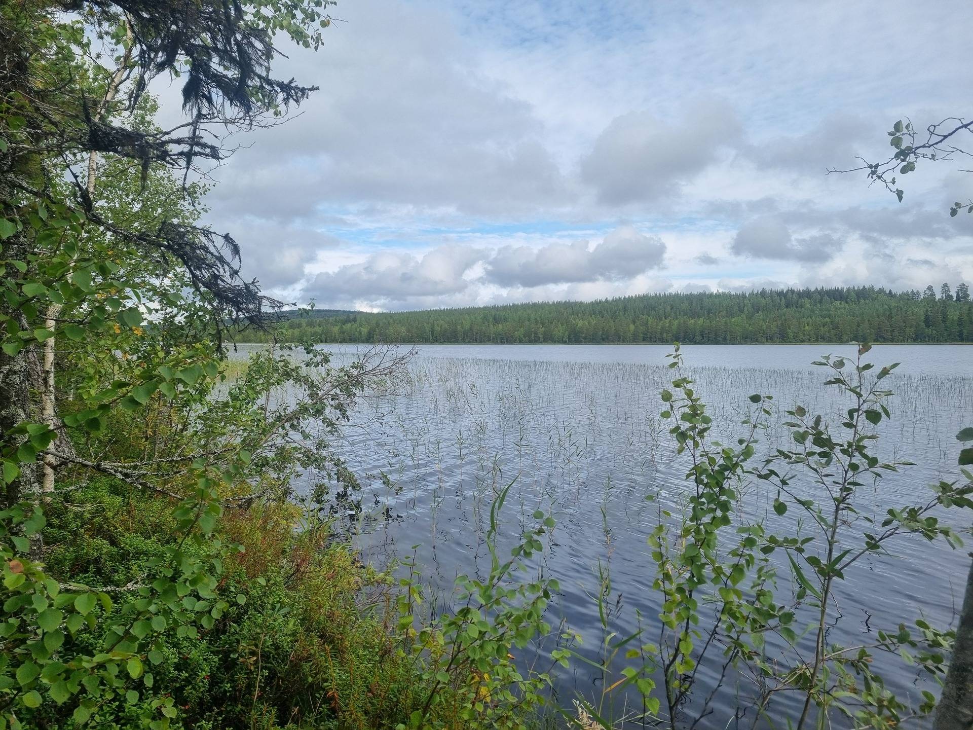 Gård med skogsbruk på NORSJÖ KATTISBERG 1:21 Norsjö Norsjö kommun - bild 41