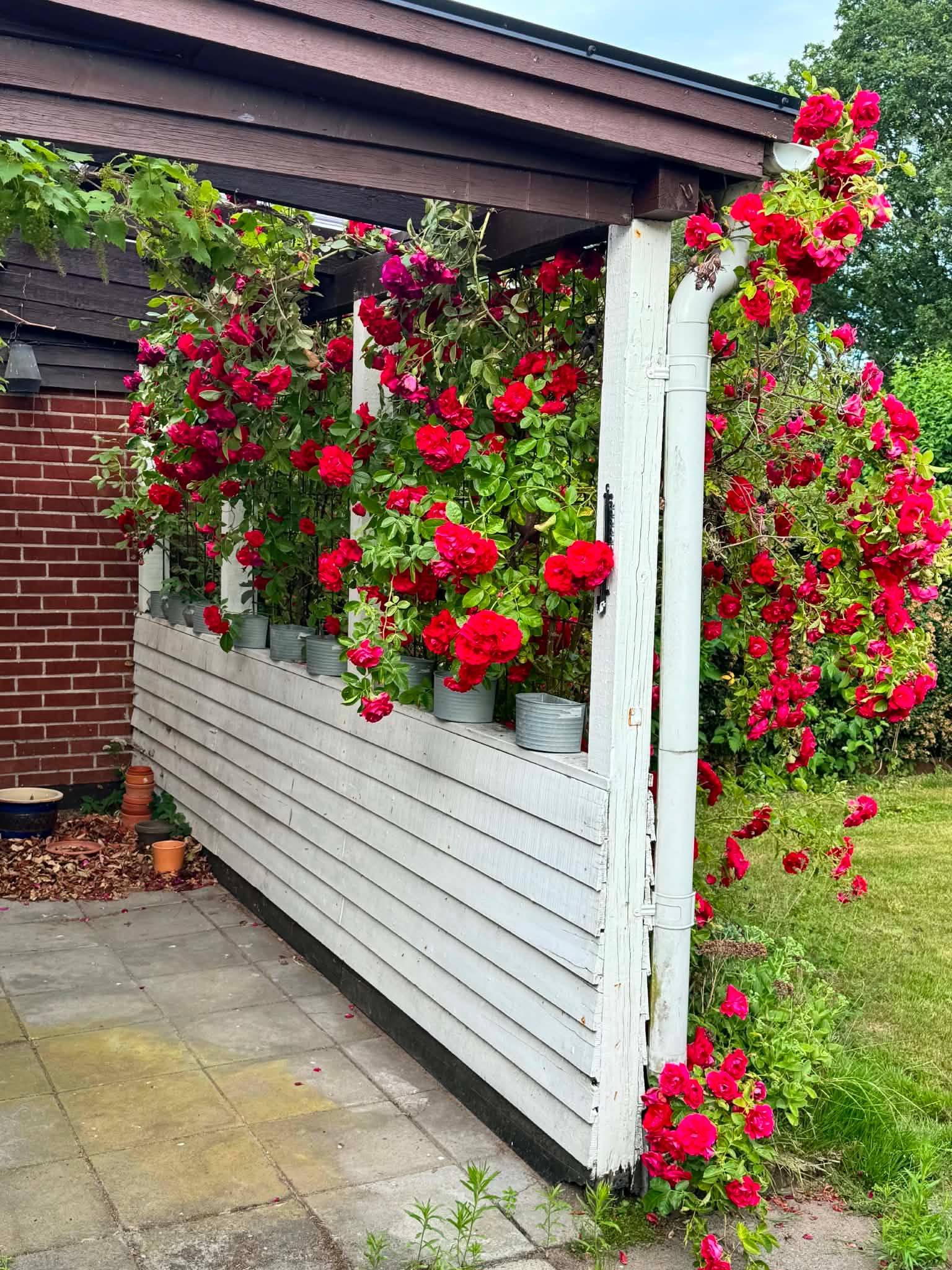 4 rum Kedjehus på Lars Montins väg 18 Söndrum Halmstads kommun - bild 23