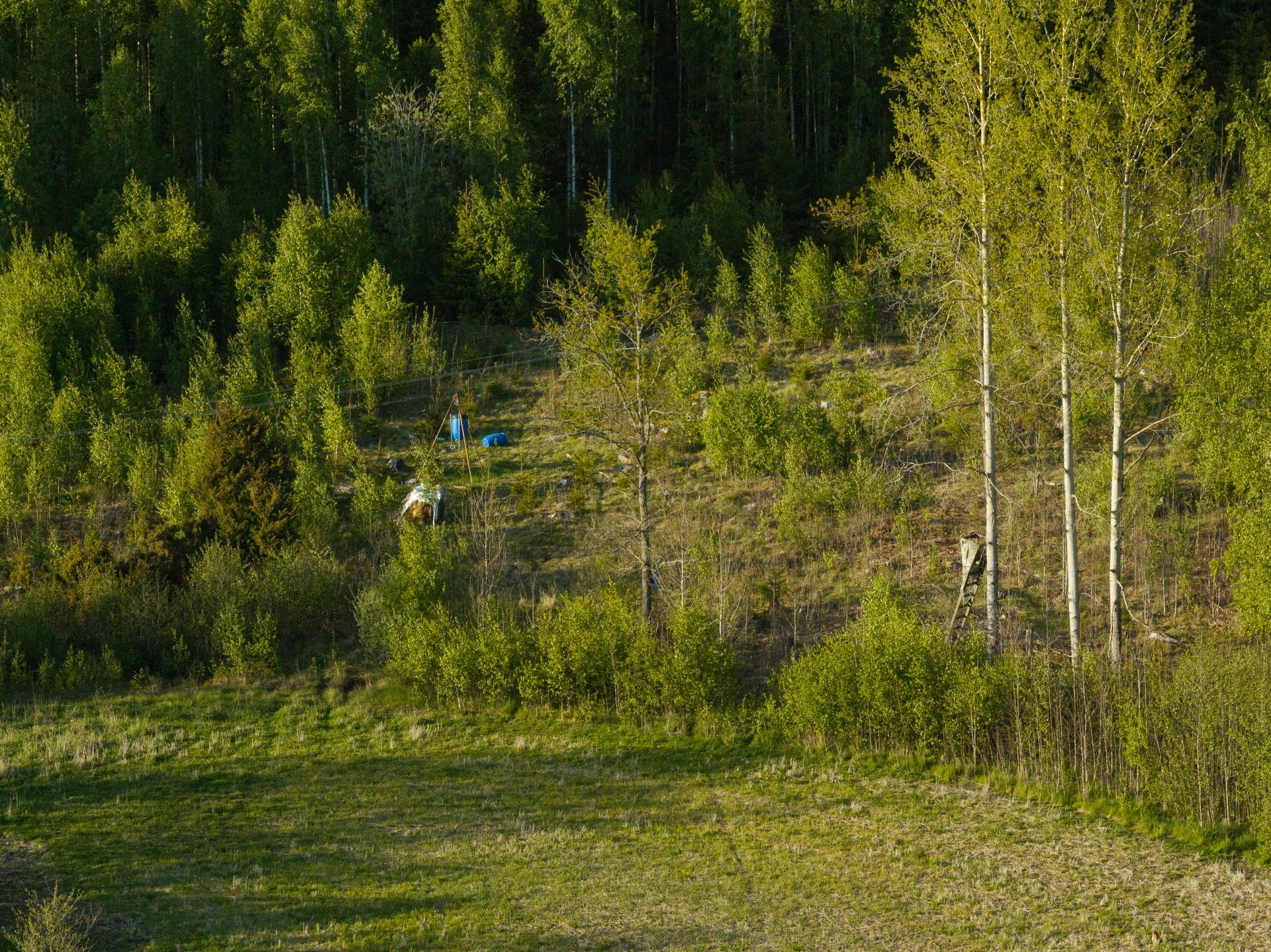 Gård/skog på Strängstorp Karlslund Katrineholm Södermanland Katrineholms kommun - bild 29