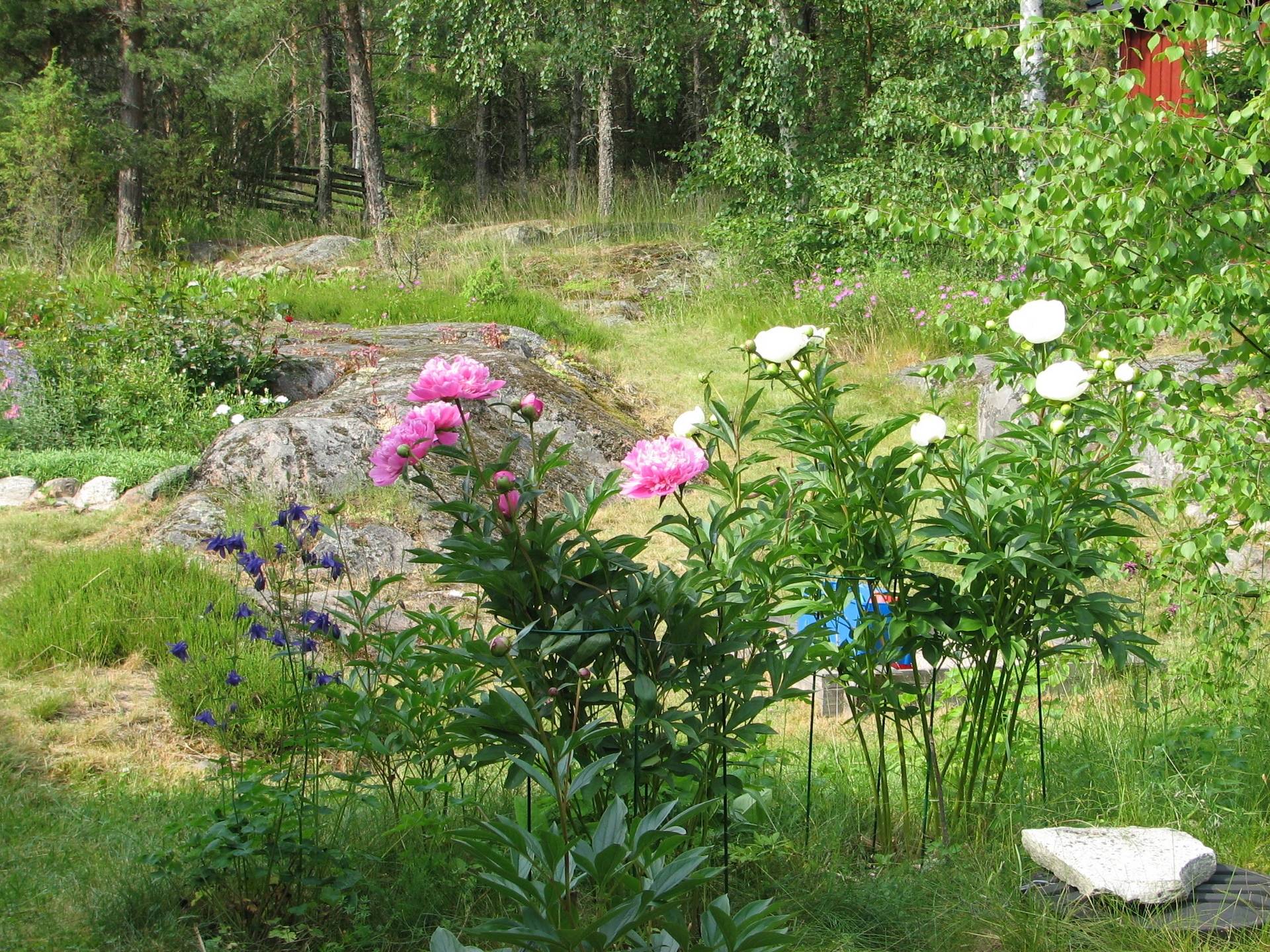 5 rum Vinterbonat fritidshus på Baklä 560 Gräsö Östhammars kommun - bild 49