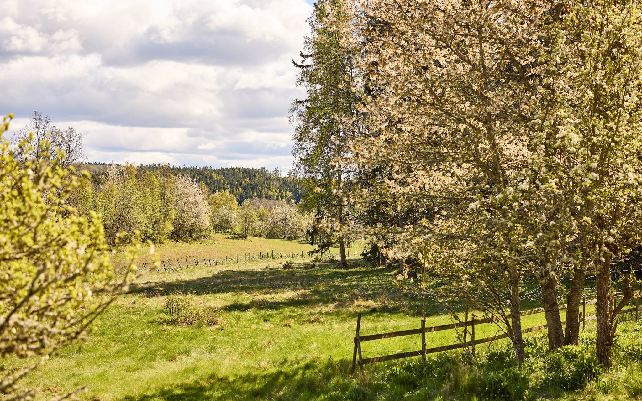 4 rum Villa på Skäggsbol 5 Ölmstad Jönköpings kommun - bild 63