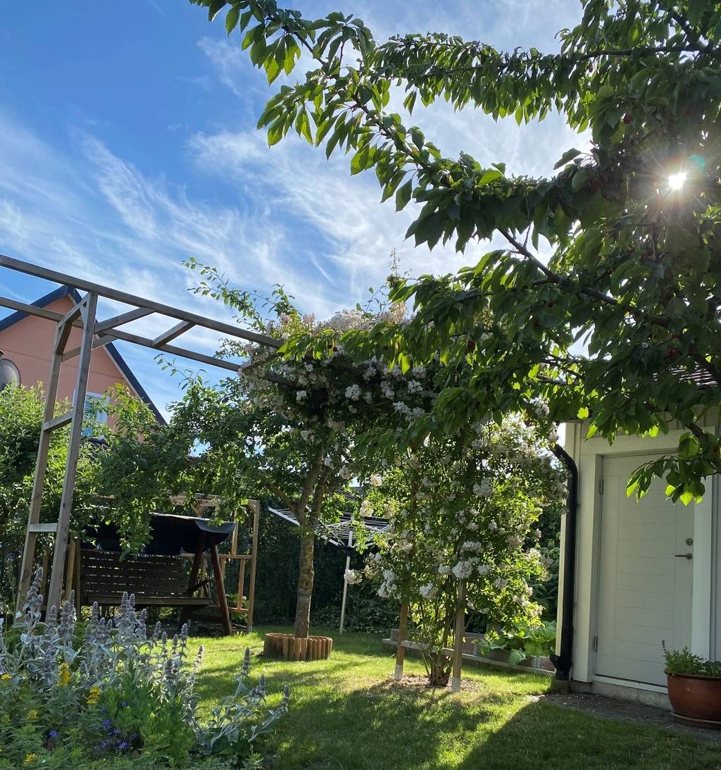 5 rum Parhus på Pilevallen 24 Pilevallen Burlövs kommun - bild 39