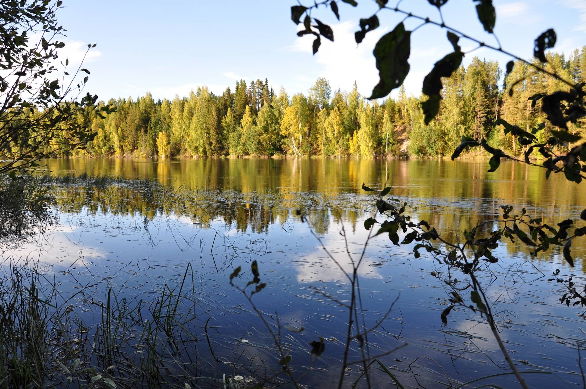 5 rum Gård med jordbruk på Nybyn 10 Älvsbyns kommun - bild 78