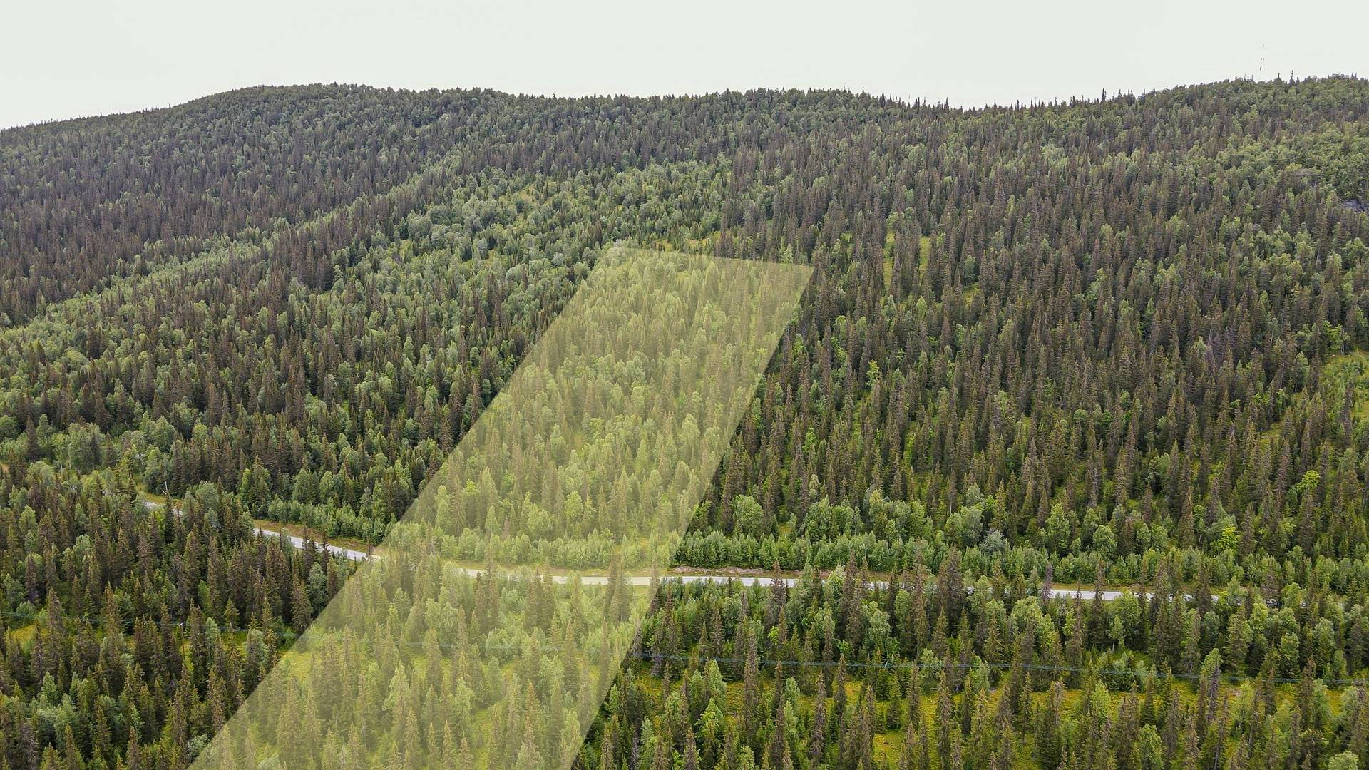 3 rum Gård/skog på Matsdal 42 Dikanäs Vilhelmina kommun - bild 31