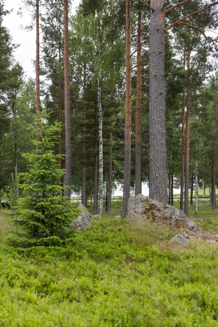 3 rum Vinterbonat fritidshus på Golfbanevägen 4 Hagge Smedjebackens kommun - bild 40