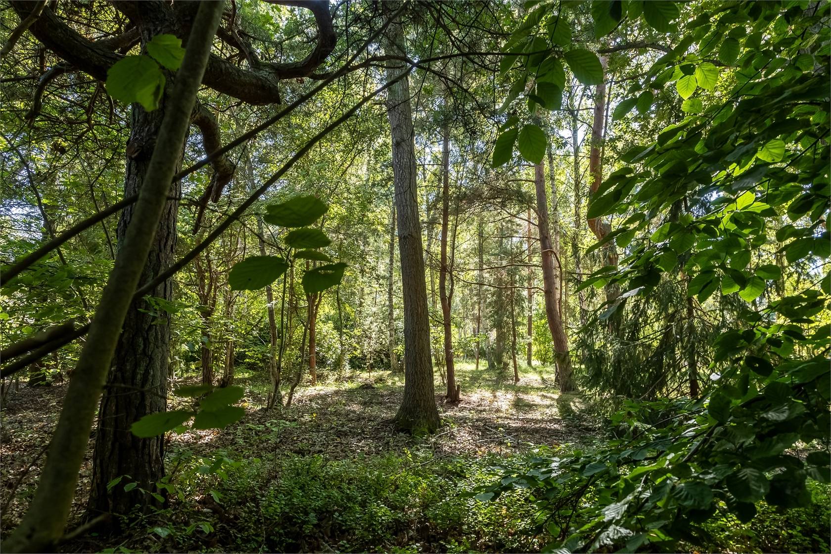 4 rum Villa på Norra vägen 8B Ljunghusen Vellinge kommun - bild 40