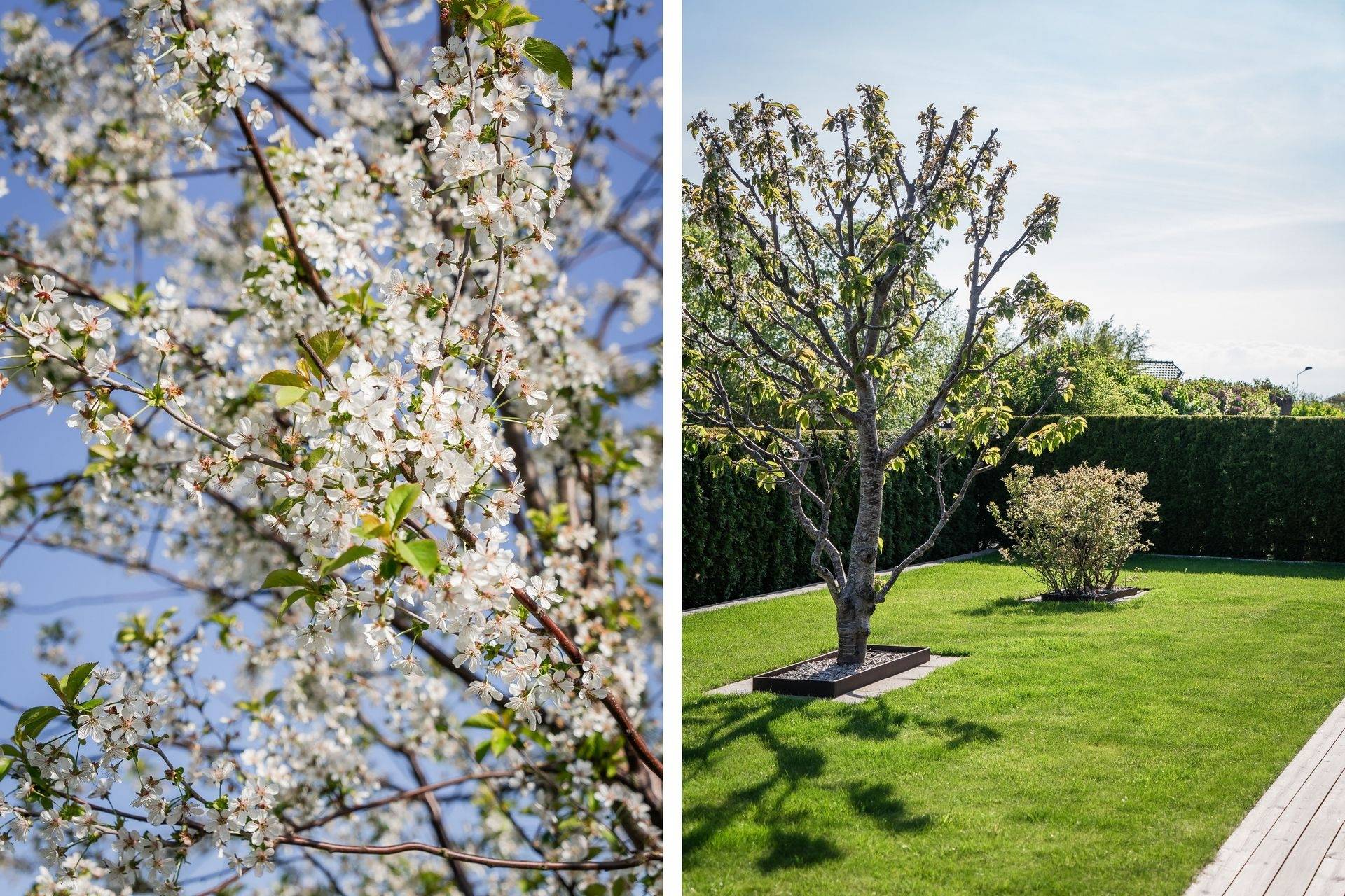3 rum Villa på Gladiolusvägen 2 Bunkeflostrand / Strandhem Malmö kommun - bild 33