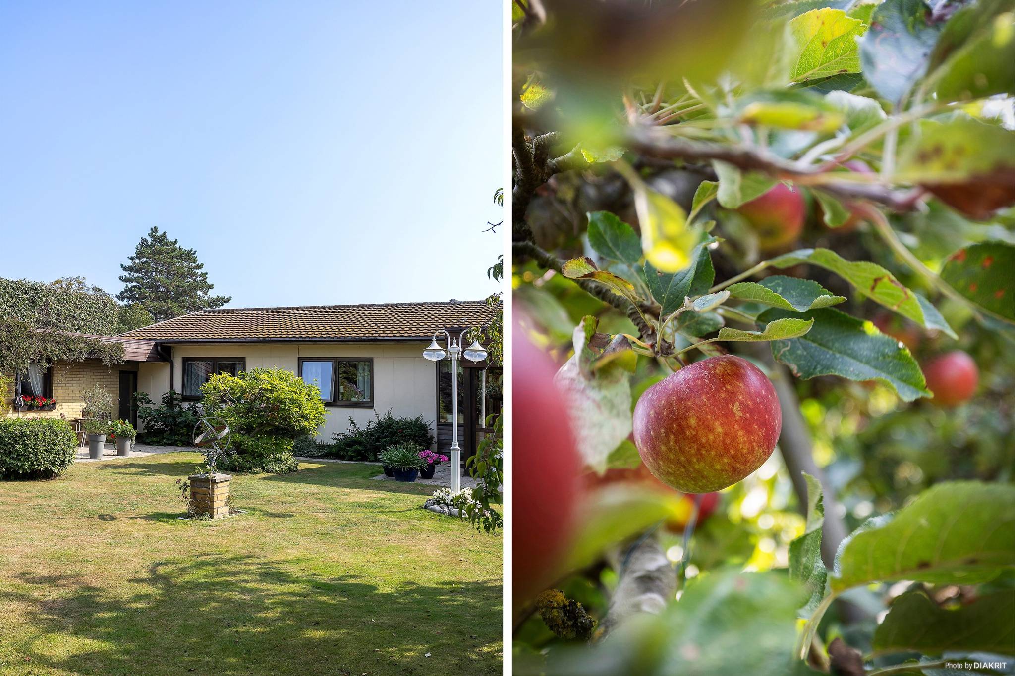 4 rum Villa på Vinkelgatan 10 Centrala Vellinge Vellinge kommun - bild 3