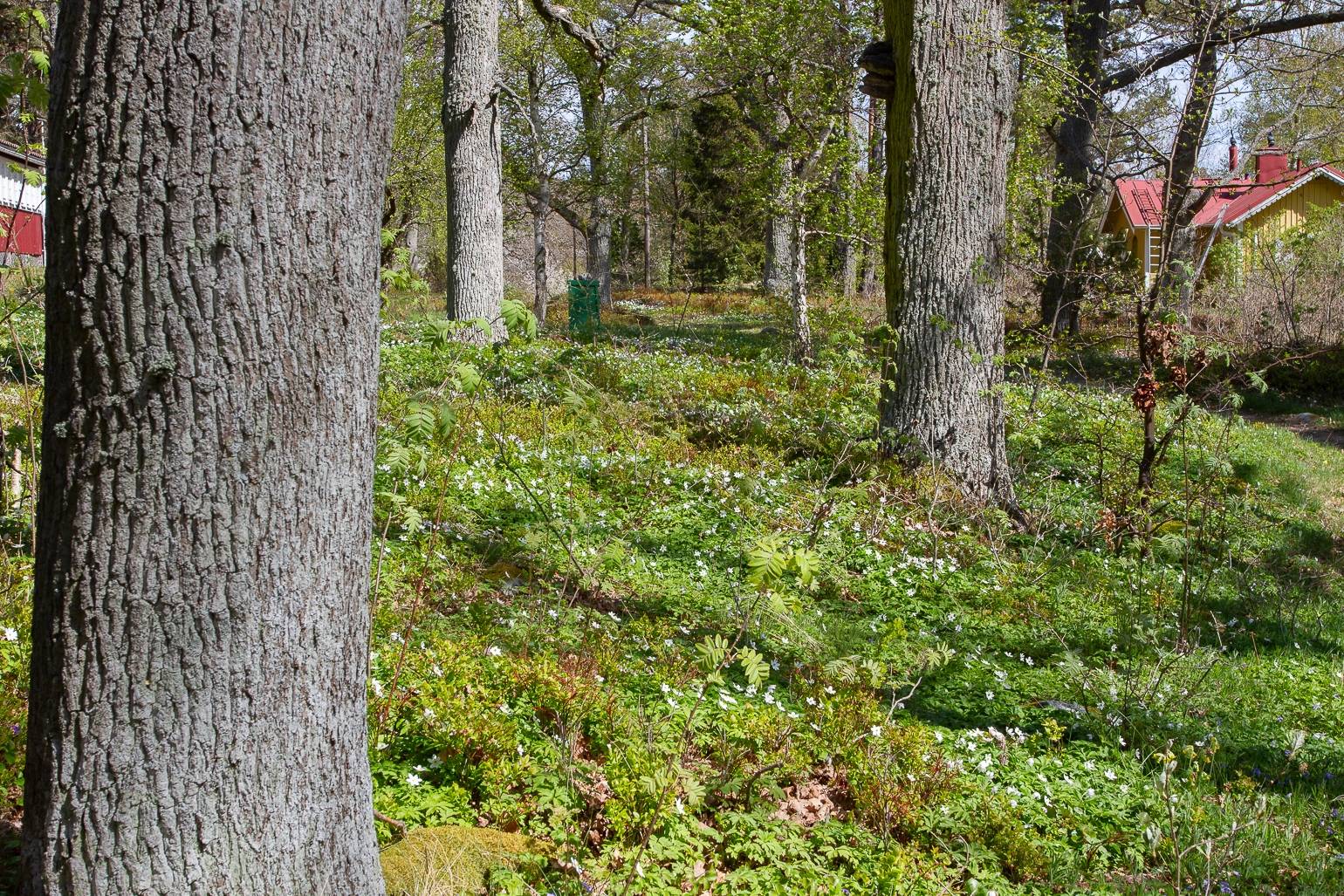 7 rum Fritidshus på Edesön 10 Edesön - Dalarö Haninge kommun - bild 67