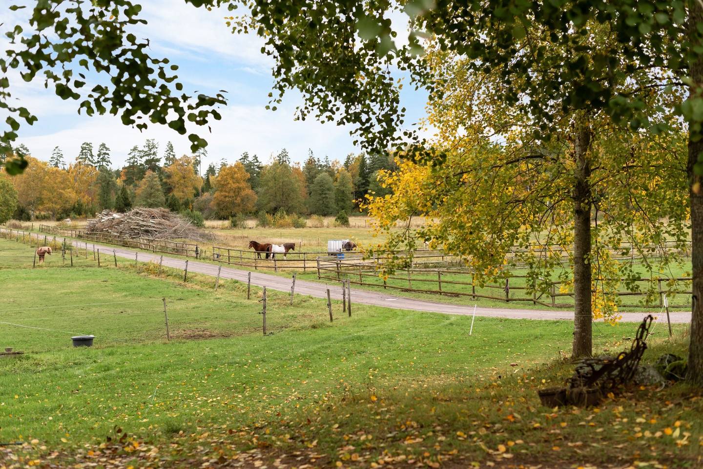 4 rum Gård/skog på Gullstigen Rosenlund 1 Boxholms kommun - bild 57