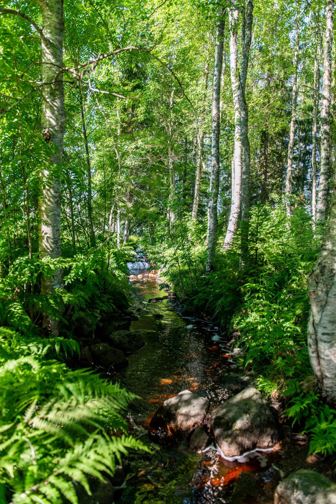 3 rum Fritidshus på Byviken 298 Örnsköldsviks kommun - bild 27