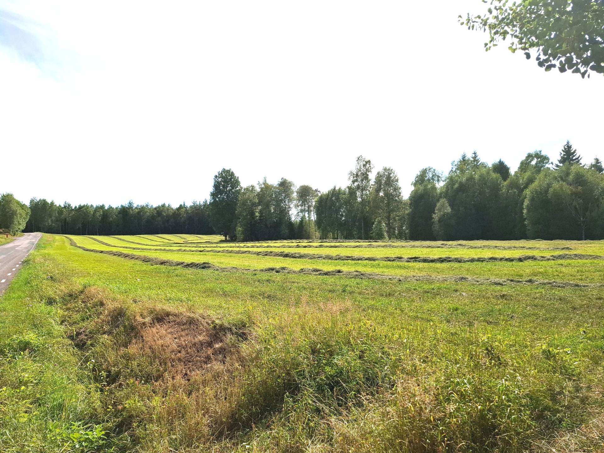 Gård med skogsbruk Jönköping Jönköpings kommun - bild 18