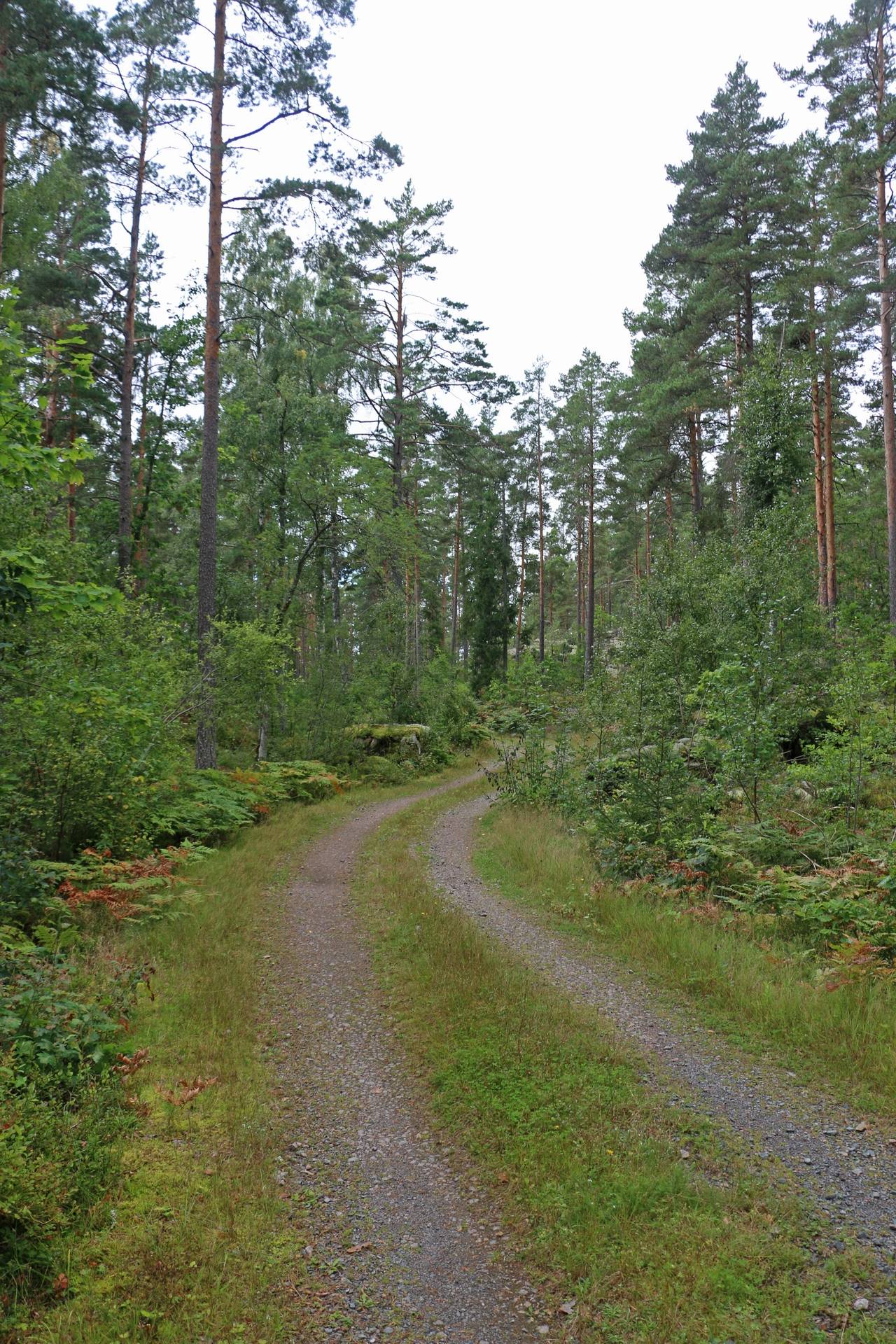 Gård/skog på Fliseryds-Boda Skog AB Mönsterås kommun - bild 9