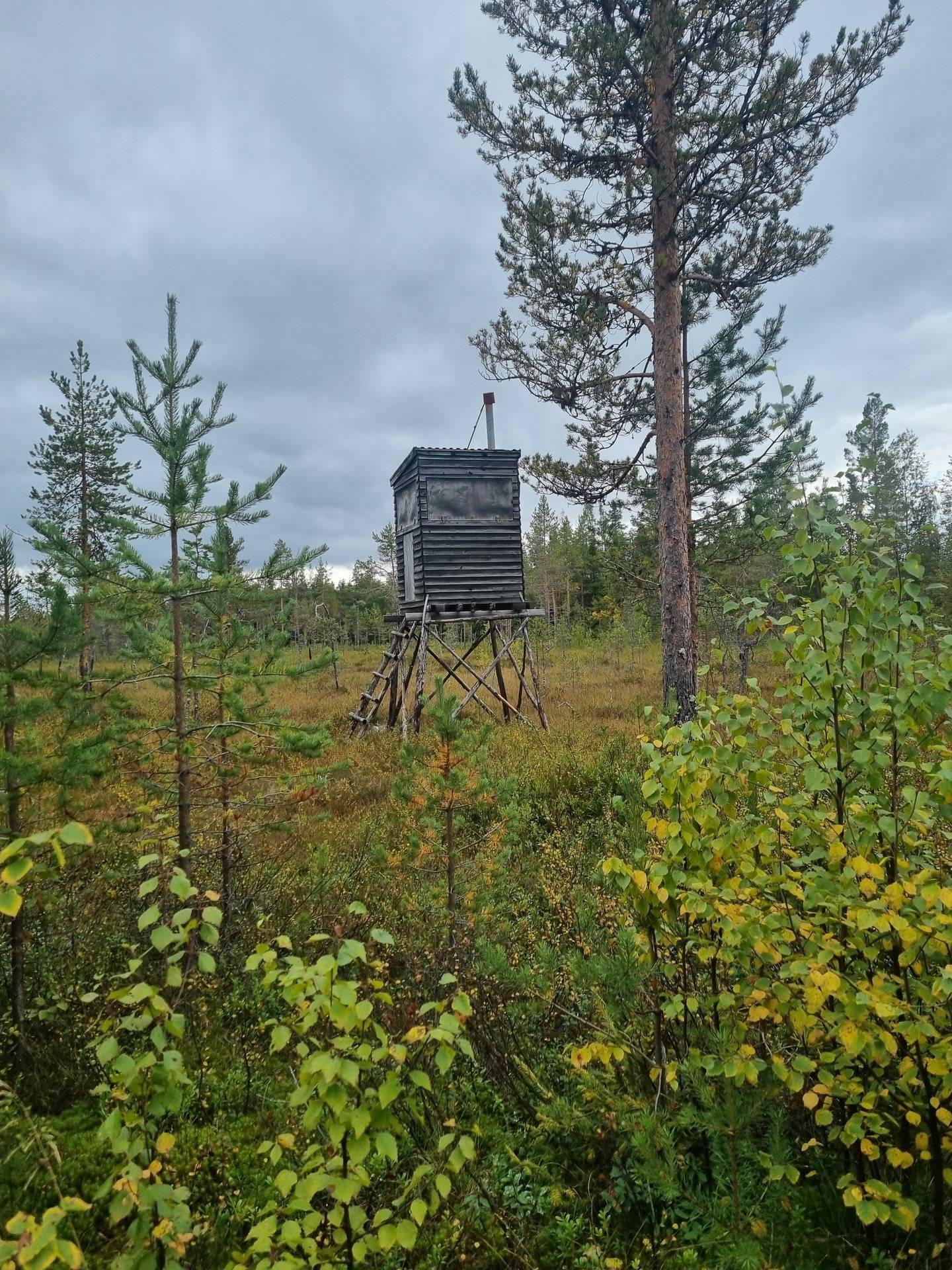 Gård med skogsbruk på NORSJÖ KATTISBERG 1:21 Norsjö Norsjö kommun - bild 44