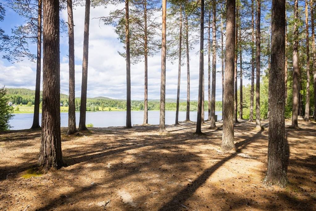 3 rum Fritidshus på Hjortronstigen 3 Timrå - Bergeforsen Timrå kommun - bild 27
