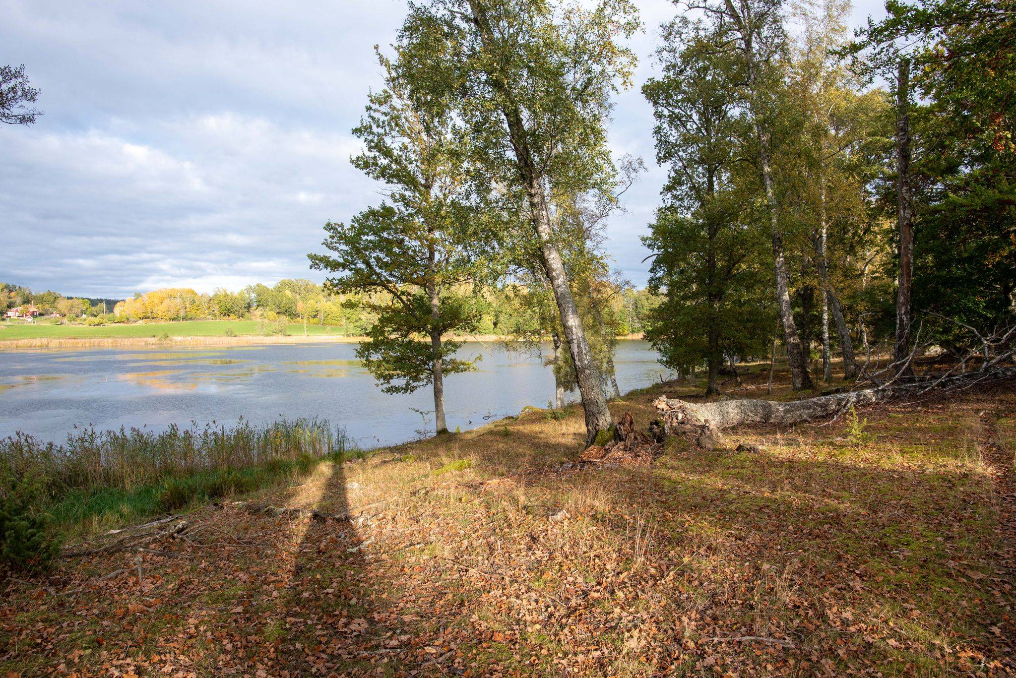 7 rum Villa på Hägerstad Trädgårdsmästarvillan Åtvidaberg Åtvidabergs kommun - bild 25
