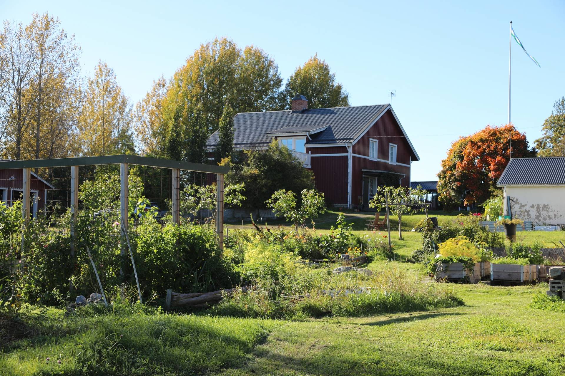 Gård med jordbruk på Kasa 145 Husum Örnsköldsviks kommun - bild 57