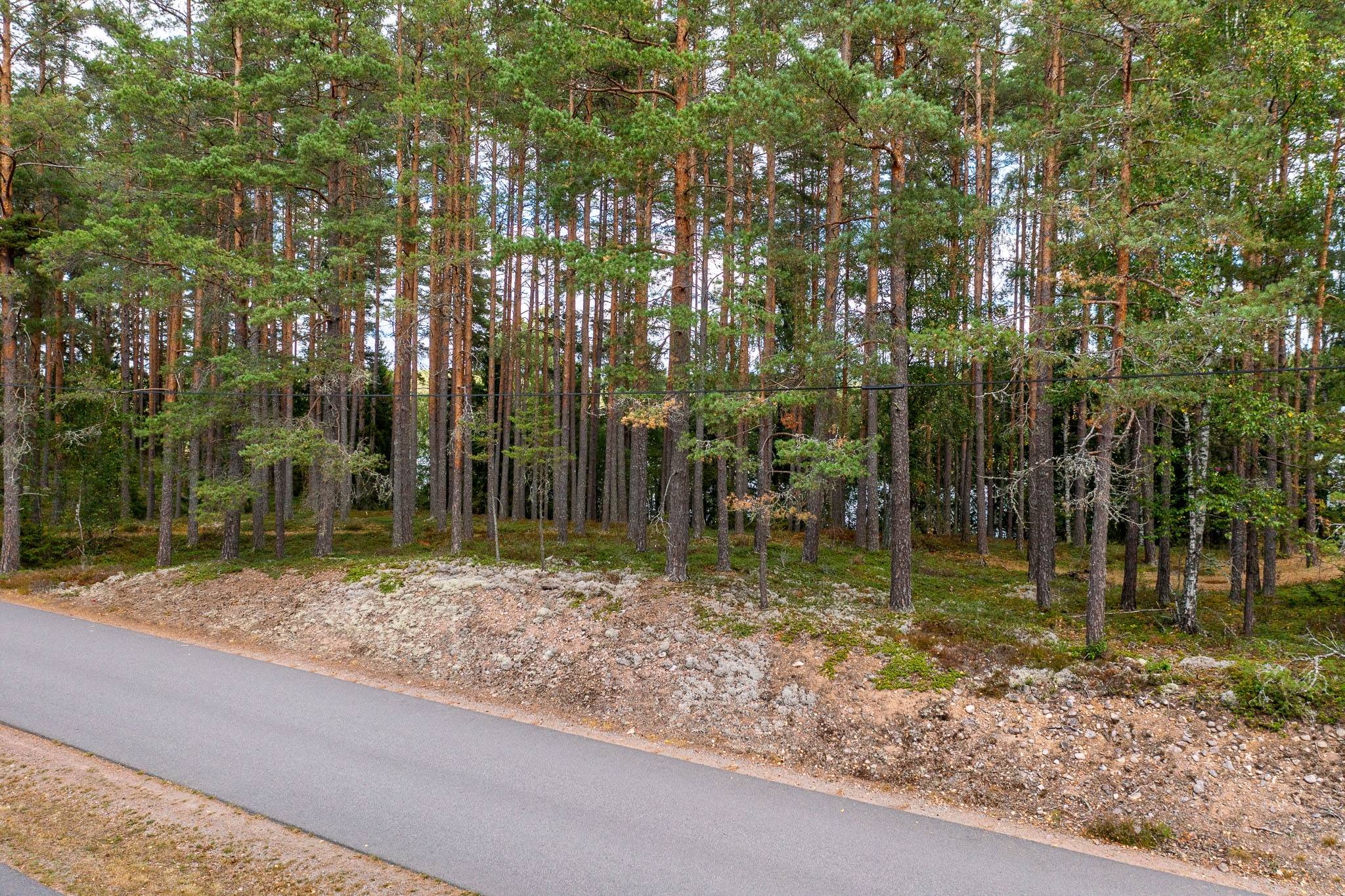 Tomt på Spilhammarvägen 19 Mariannelund Eksjö kommun - bild 5