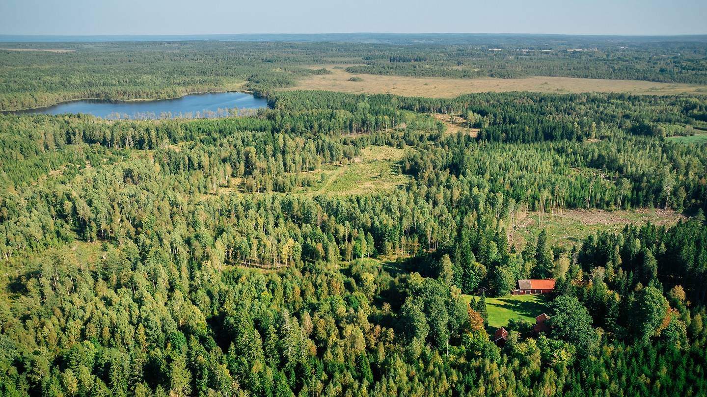 4 rum Fritidshus på Torsvid Trohemmet 1 Hova Landsbygd Gullspångs kommun - bild 45