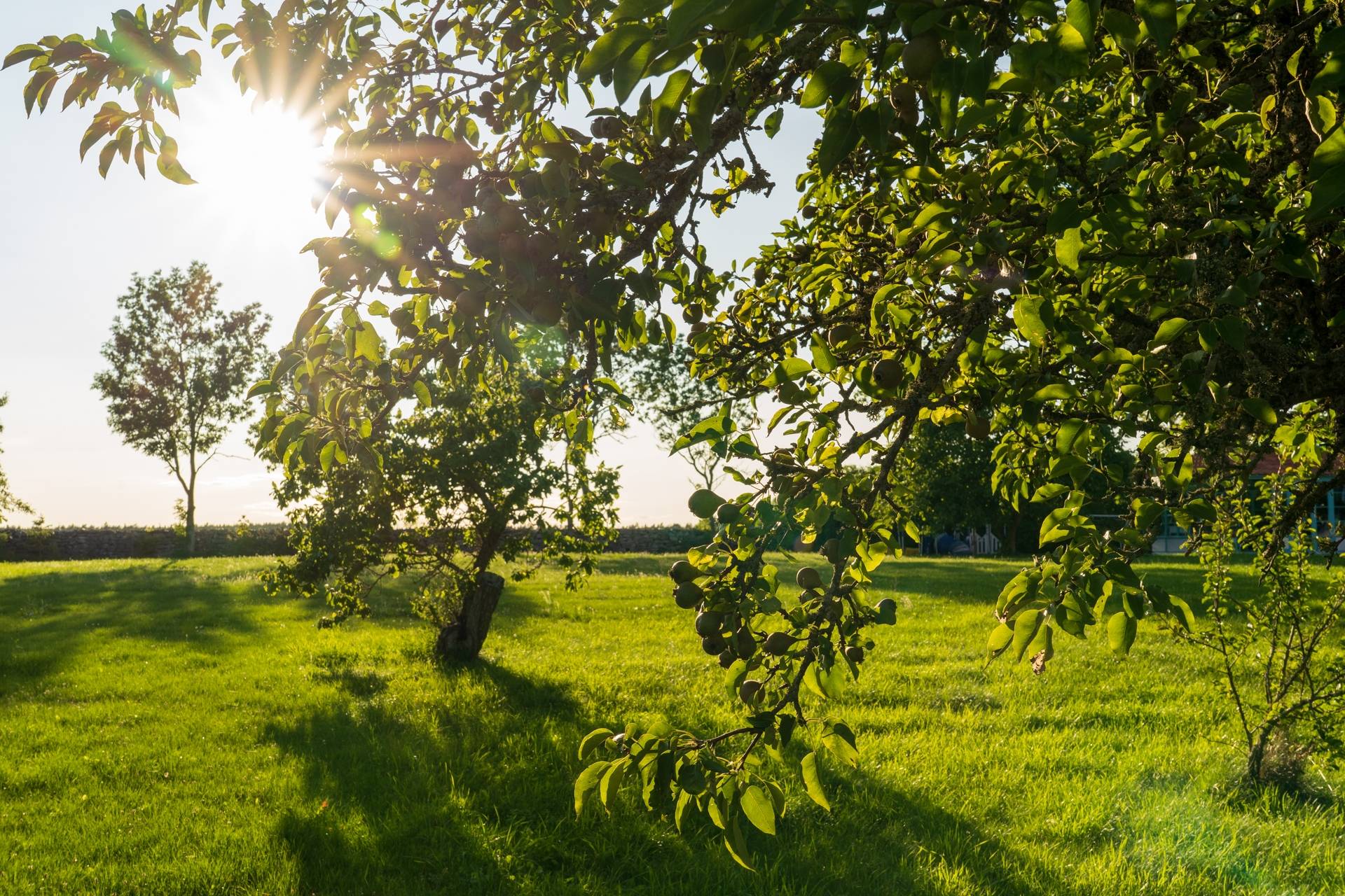 5 rum Fritidshus på Boge Friggars 148 Boge - Norra Gotland Gotlands kommun - bild 57