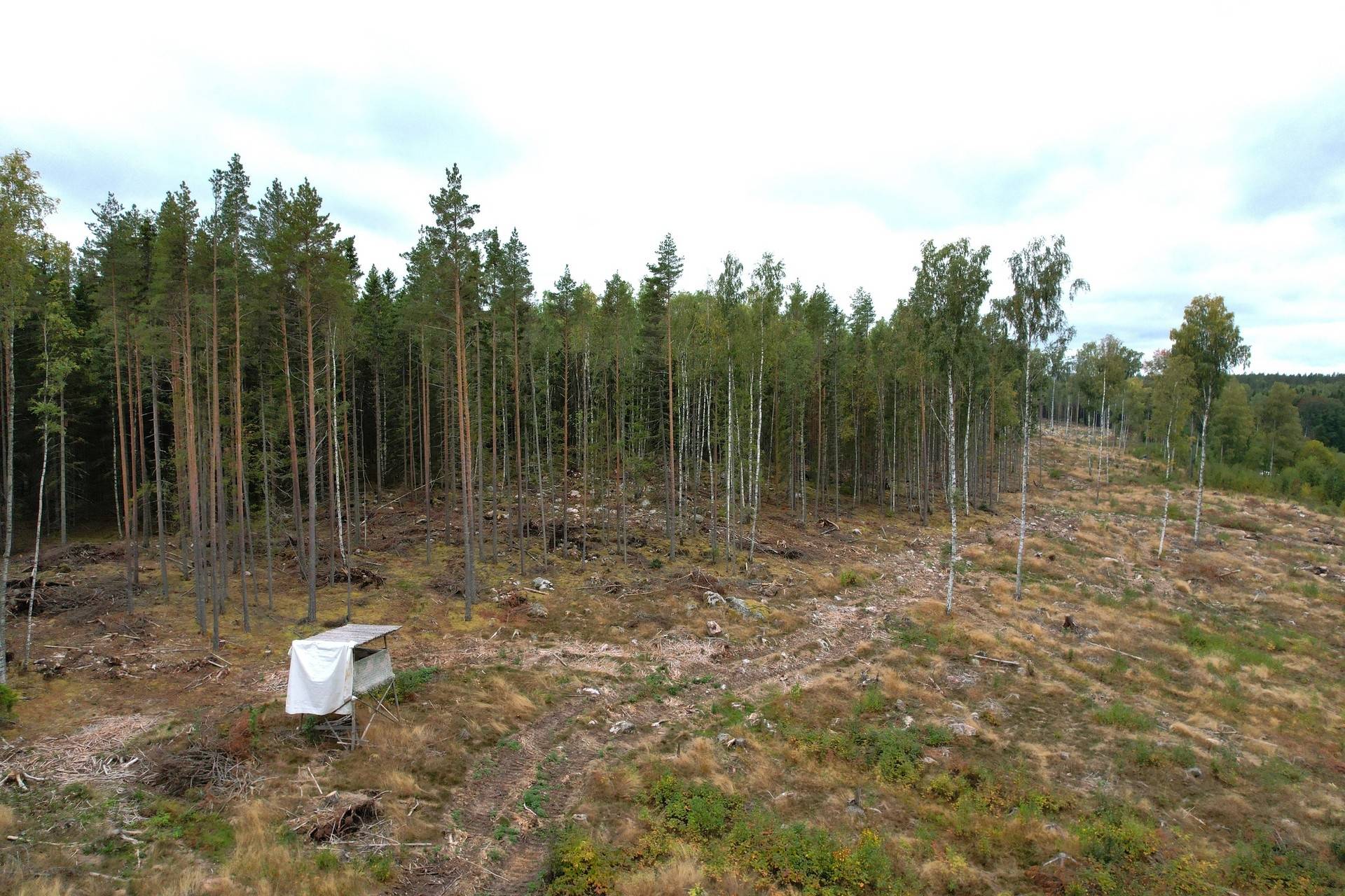 Gård med jordbruk på Kullmyran Sandvikens kommun - bild 30