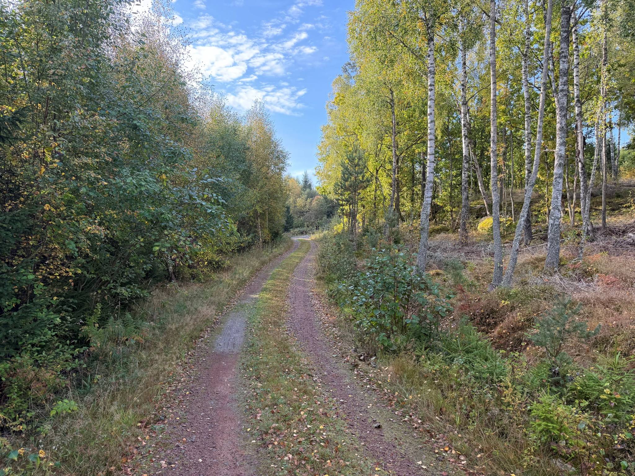 Gård/skog på Del av Hornaryd Hörnegård 2 Braås Växjö kommun - bild 7