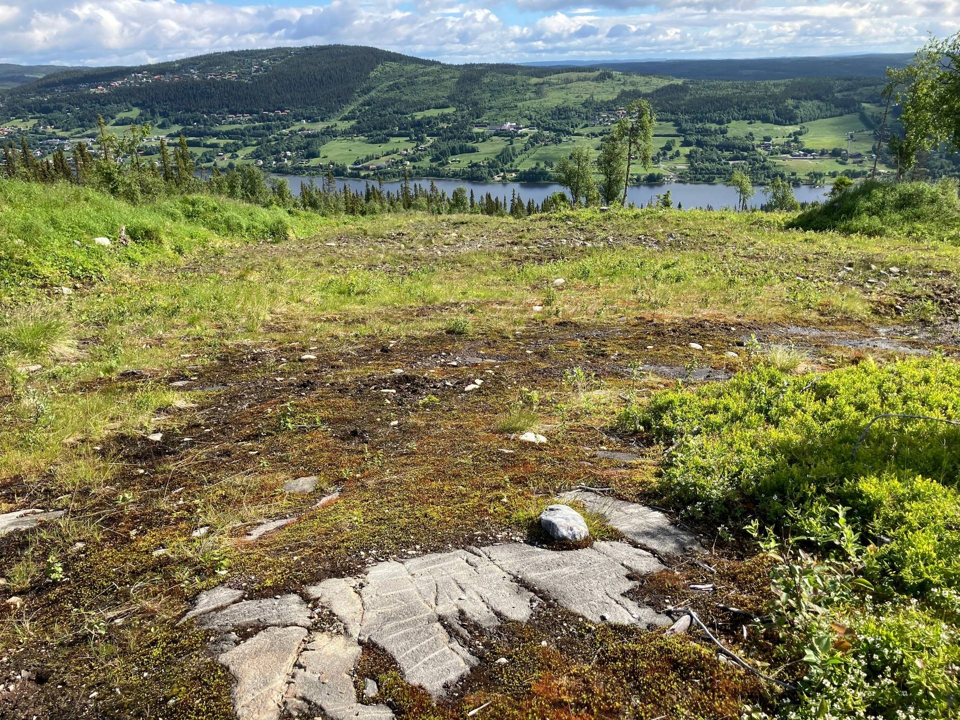 Gård med skogsbruk på ÅRE HÅRBÖRSTA 1:54 Åre kommun - bild 7