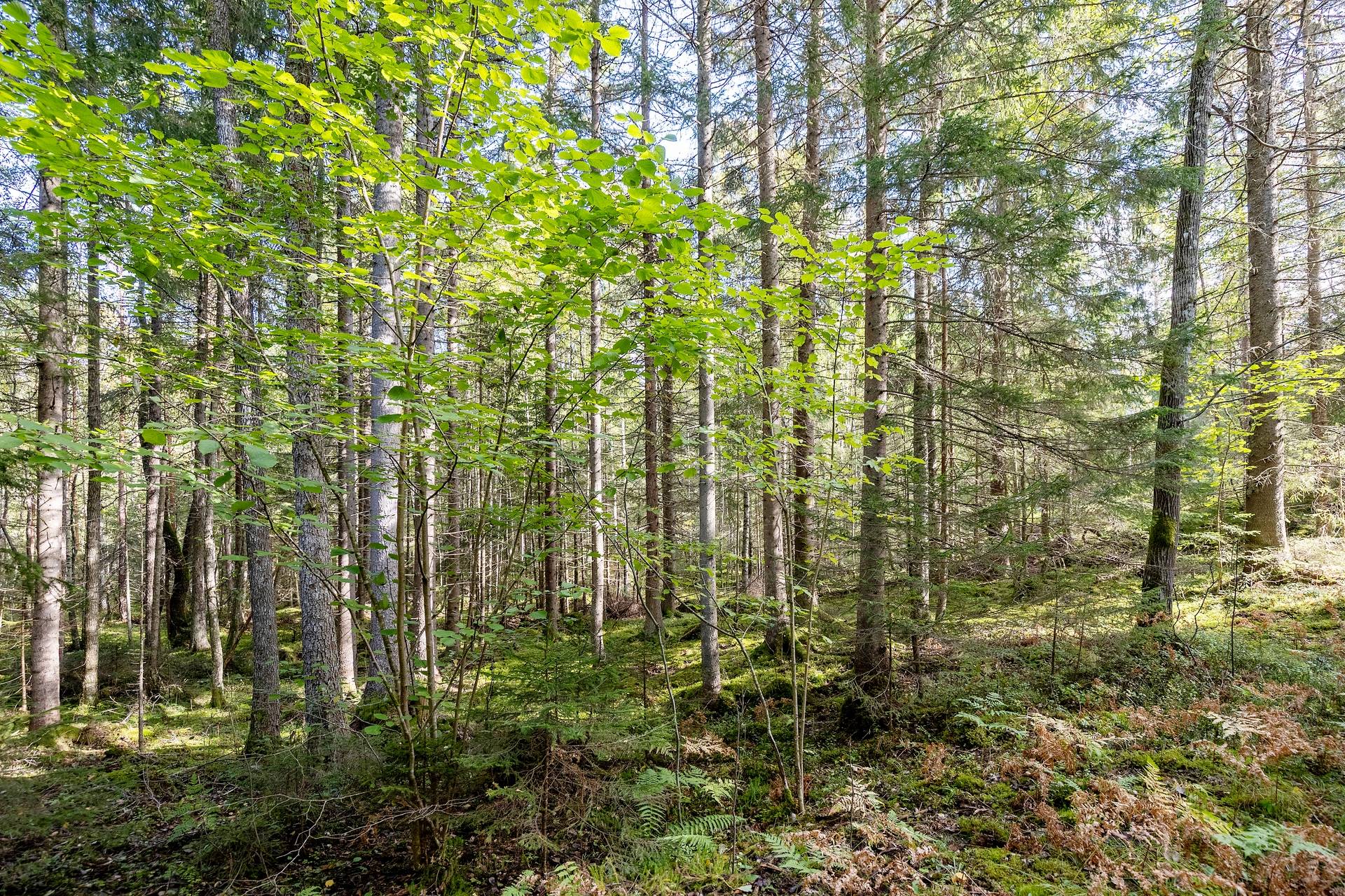 190 m² Gård med jordbruk på Djupviksängen Askersunds kommun - bild 31